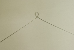 全体像はこの様な形